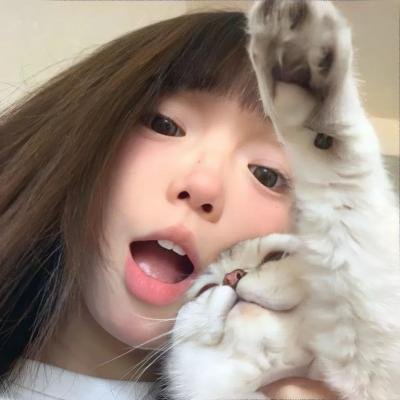 摇滚藏獒:乘风破浪